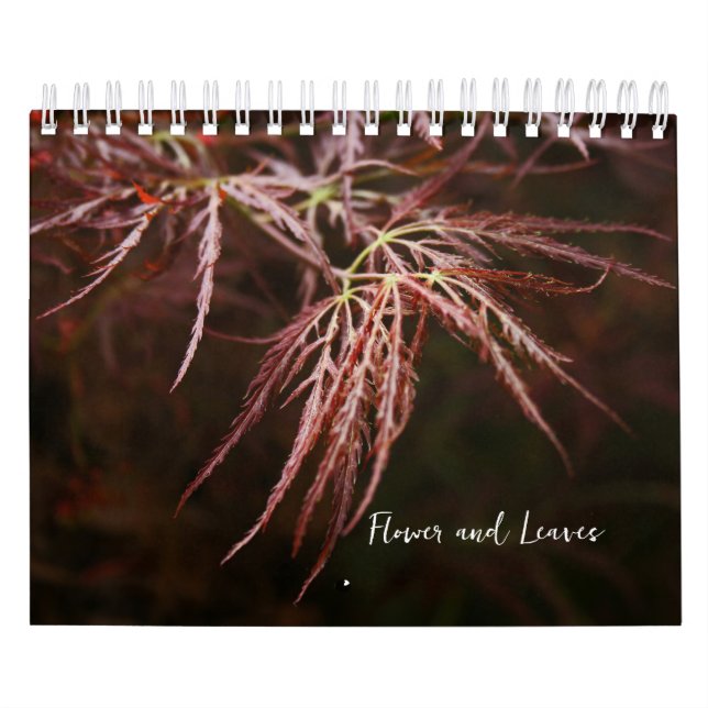 Flower and Leaves Calendar (Cover)