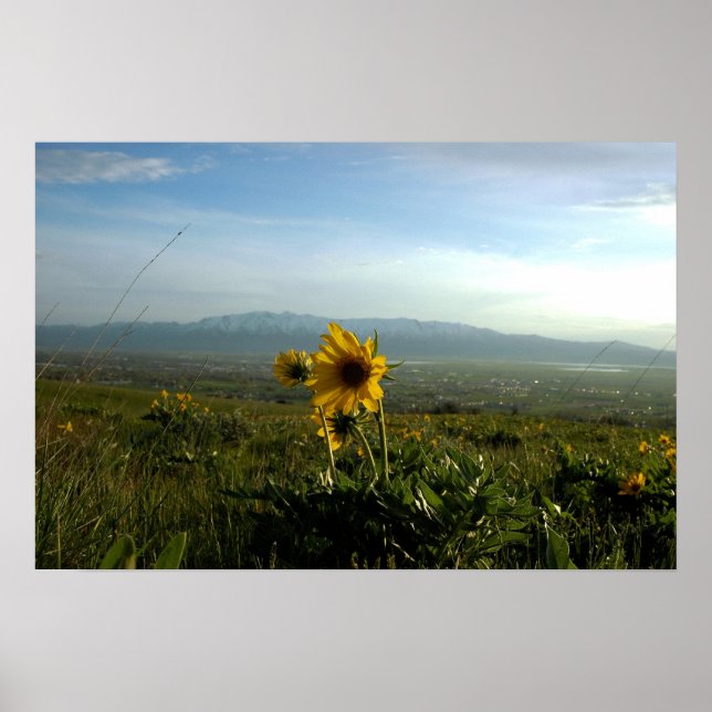 Flower and Wellsville mountain Range Poster (Front)
