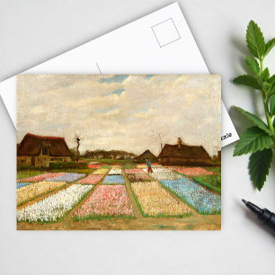 Flower Beds in Holland  by Vincent Van Gogh Postcard