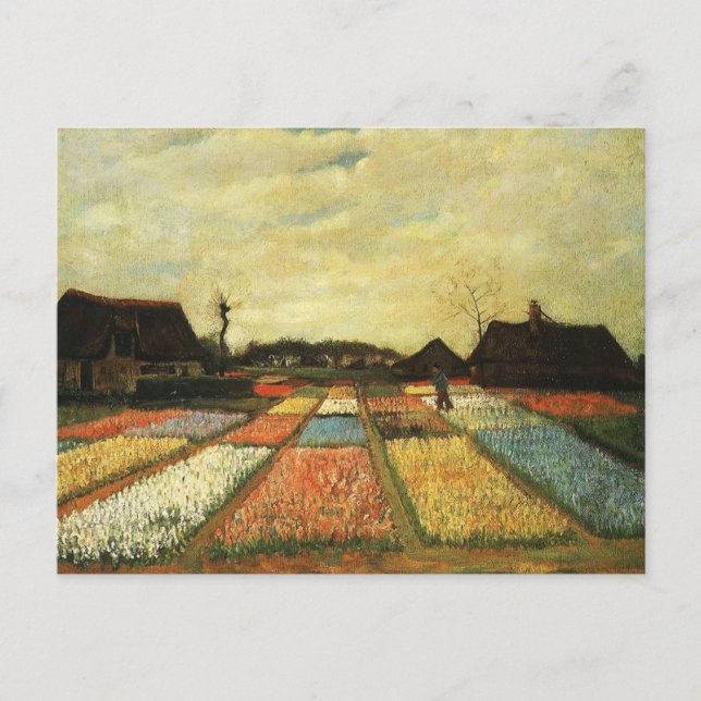 Flower Beds in Holland Postcard (Front)