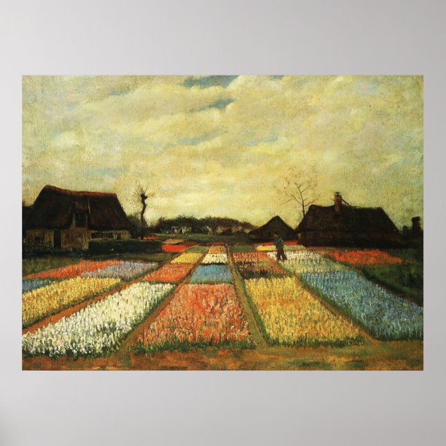 Flower Beds in Holland Poster (Front)