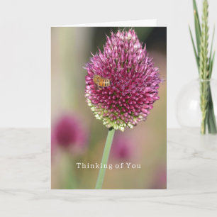 Flower Bee Thinking of You (photography by me) Card