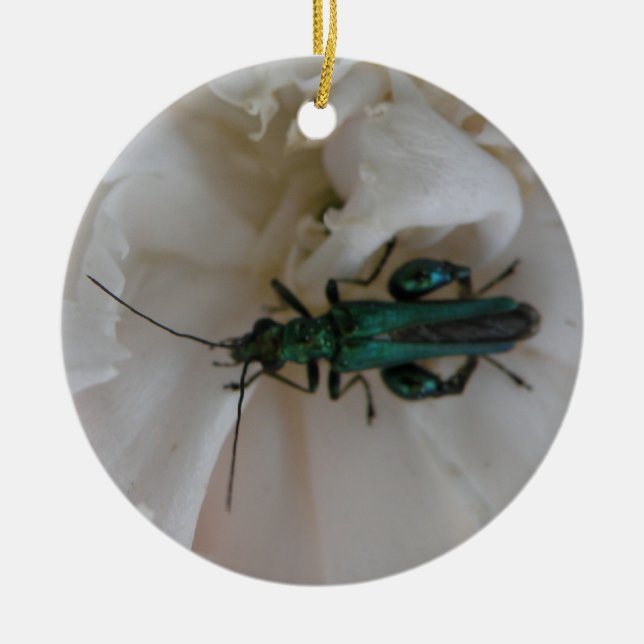 Flower Beetle Custom Birthday Ceramic Tree Decoration (Front)
