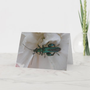 Flower Beetle Greeting Card