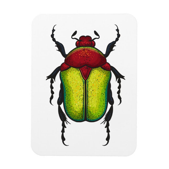 Flower beetle magnet (Vertical)
