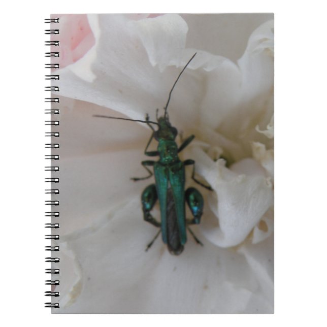 Flower Beetle Notebook (Front)