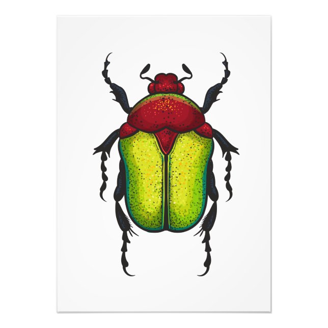 Flower beetle photo print (Front)