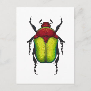 Flower beetle postcard
