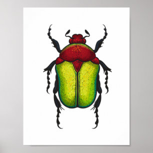 Flower beetle poster