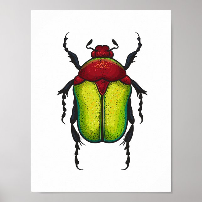 Flower beetle poster (Front)