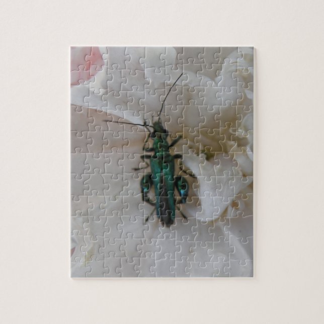 Flower Beetle Puzzle (Vertical)