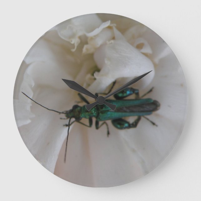 Flower Beetle Wall Clock (Front)