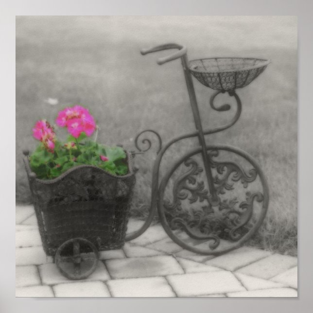 Flower Bicycle BW Partial Colour Poster (Front)