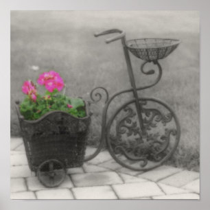 Flower Bicycle BW Partial Colour Poster