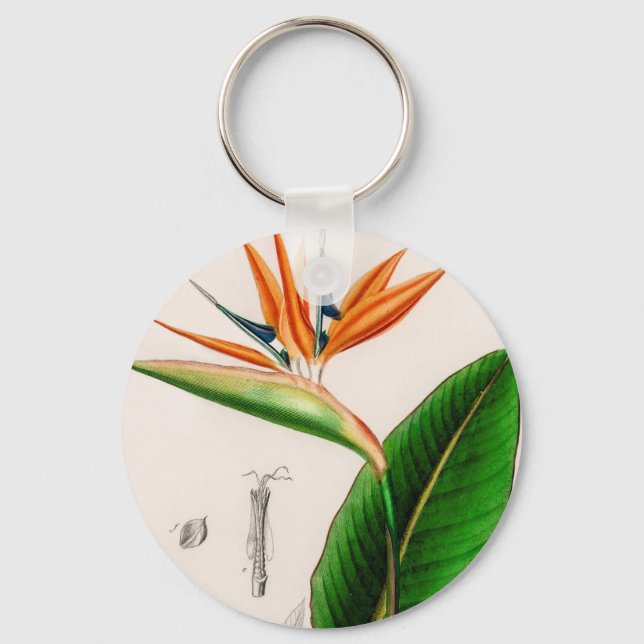 Flower bird of paradise vintage illustrated  key ring (Front)