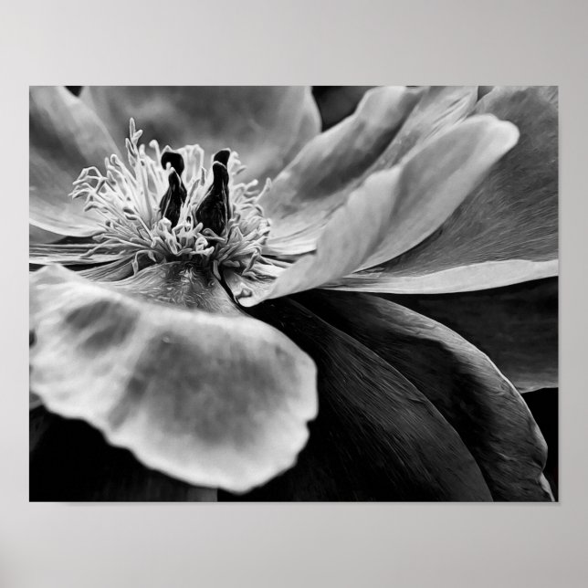 Flower Black and White Photographic Art Print (Front)