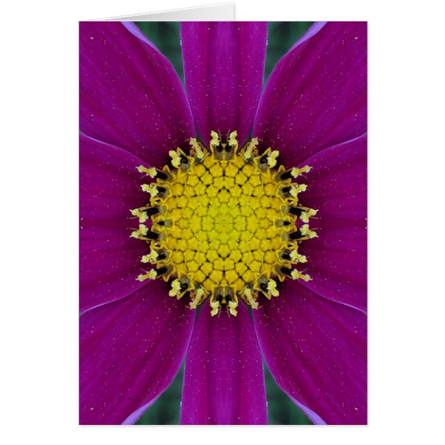 Flower Blank Card (Front)