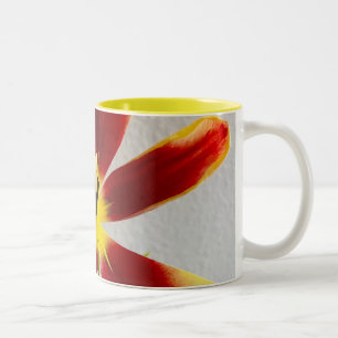 Flower Bloom Two-Tone Coffee Mug