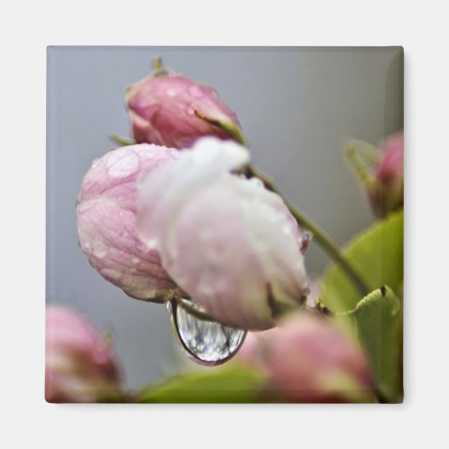 Flower Blossom and Raindrop Magnet (Front)