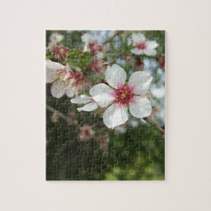 Flower Blossom Puzzle