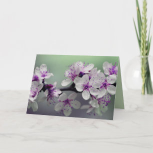 flower blossoms greeting card