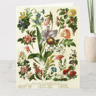 Flower Botanicals Card
