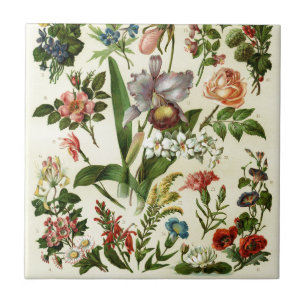 Flower Botanicals Ceramic Tile
