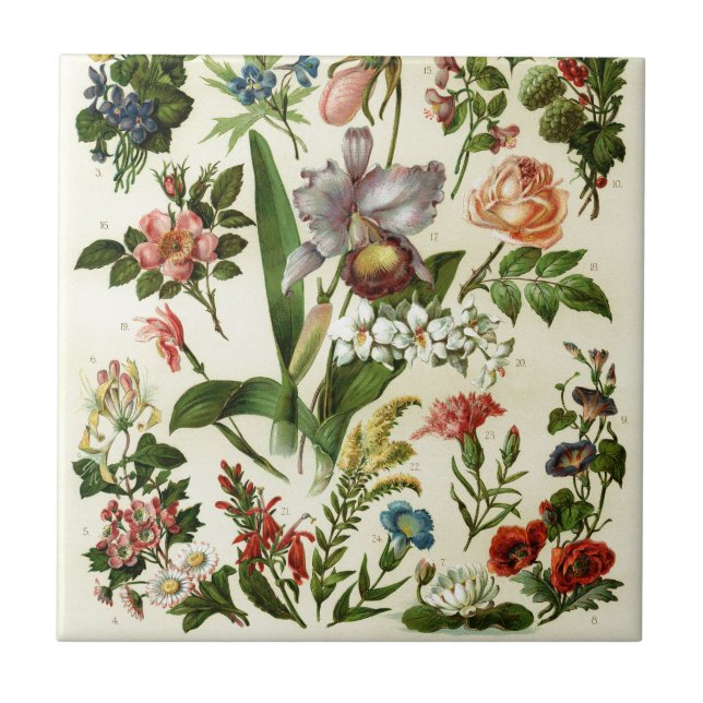 Flower Botanicals Ceramic Tile (Front)