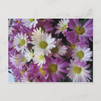 FLOWER Bouquet Butterfly Garden: Elegant Gifts Postcard