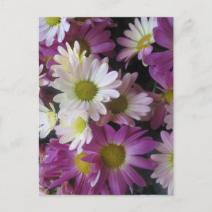 FLOWER Bouquet Butterfly Garden: Elegant Gifts Postcard