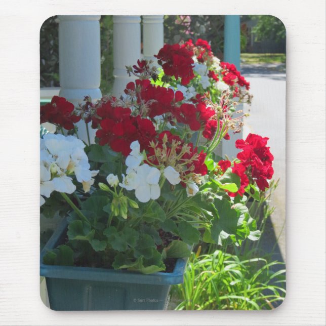 Flower Box Geraniums - Martha's Vineyard Mouse Pad (Front)