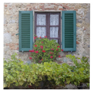Flower box on window ceramic tile