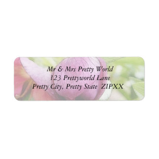 Flower Bud - Helleborus x hybridus Return Address Label