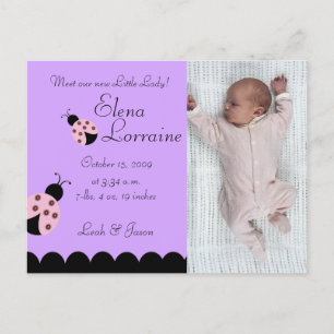 Flower Bug Lady Bug PHOTO Birth announcement Postcard