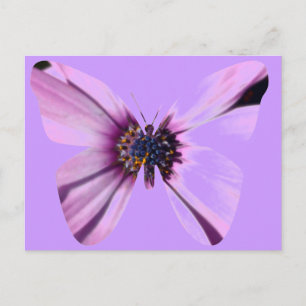 Flower Butterfly Postcard