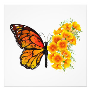 Flower Butterfly with Yellow California Poppy Photo Print