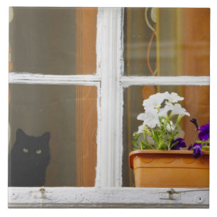 Flower by the window, Sighisoara, Romania Ceramic Tile