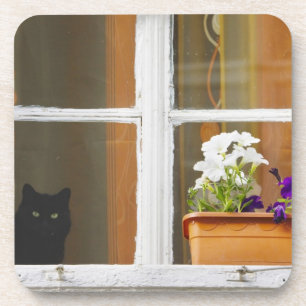 Flower by the window, Sighisoara, Romania Coaster