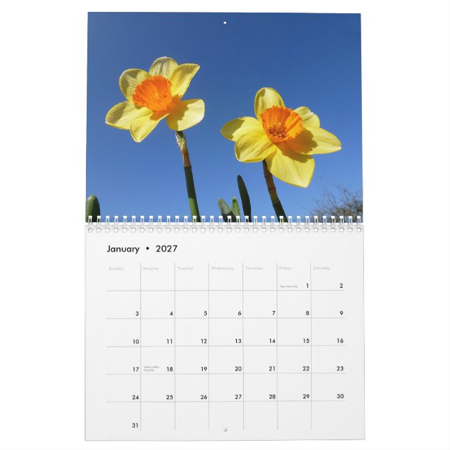 Flower Calendar 2013 (Jan 2027)