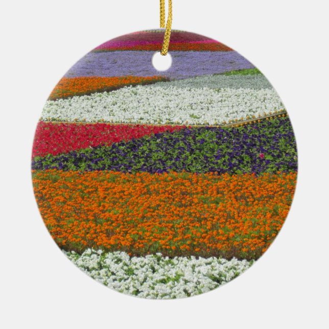 Flower Carpet Ornament (Front)