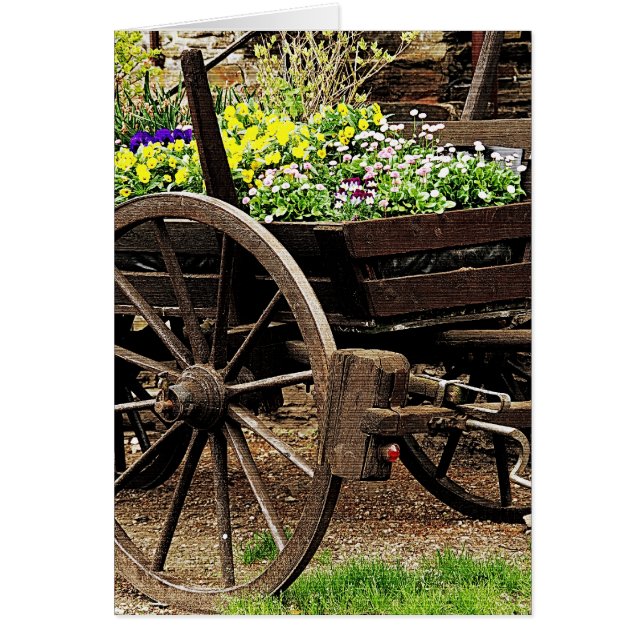 Flower Cart (Front)