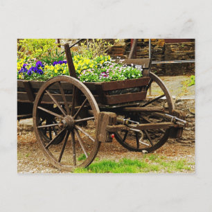 Flower cart postcard