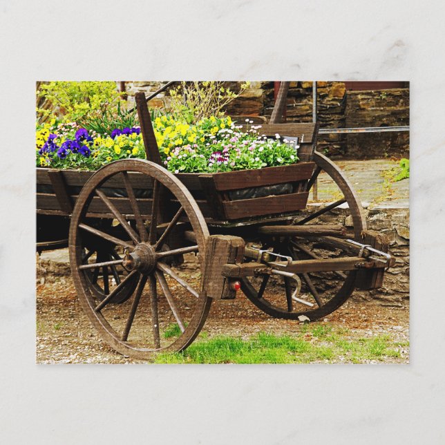 Flower cart postcard (Front)