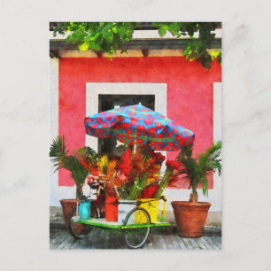 Flower Cart San Juan, Puerto Rico Postcard