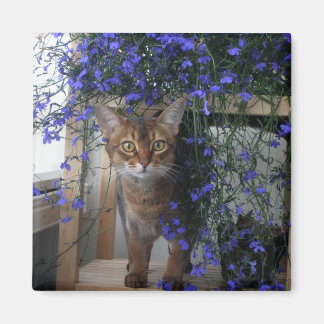 Flower Cat Magnet