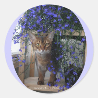 Flower Cat (oval) Classic Round Sticker