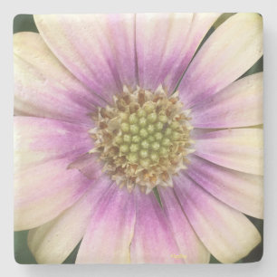 Flower Centre coaster