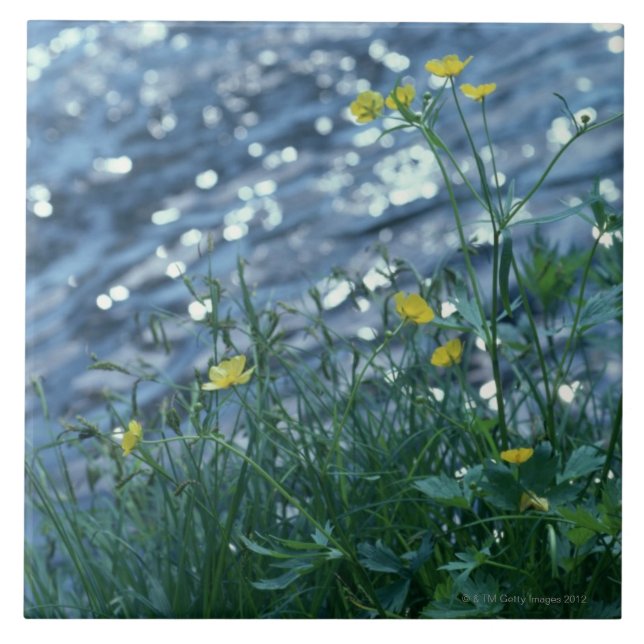 Flower Ceramic Tile (Front)