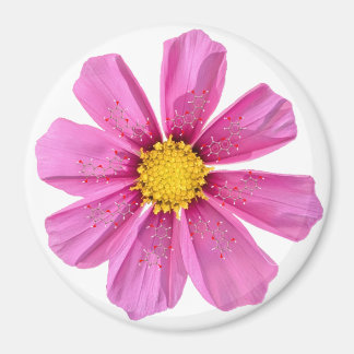 Flower Chemistry Magnet
