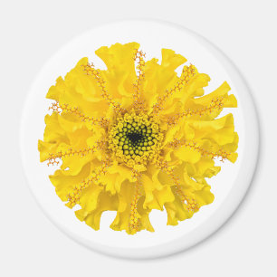 Flower Chemistry Magnet Marigold